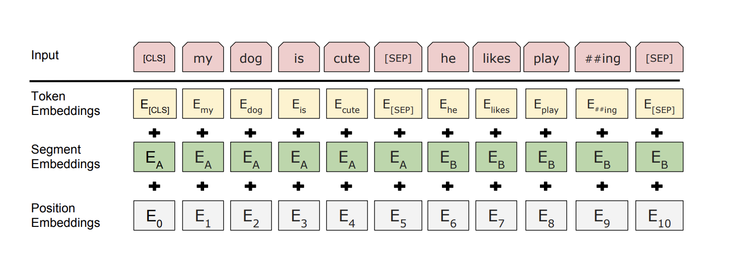 BERT input format